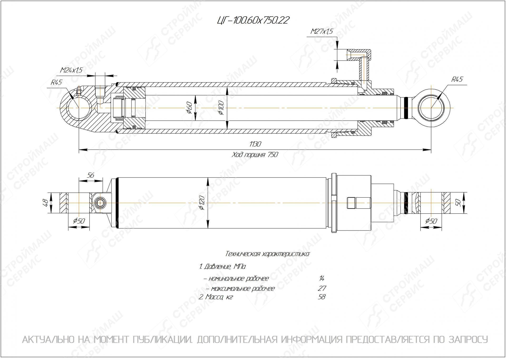 ЦГ-100.60х750.22 Гидроцилиндр