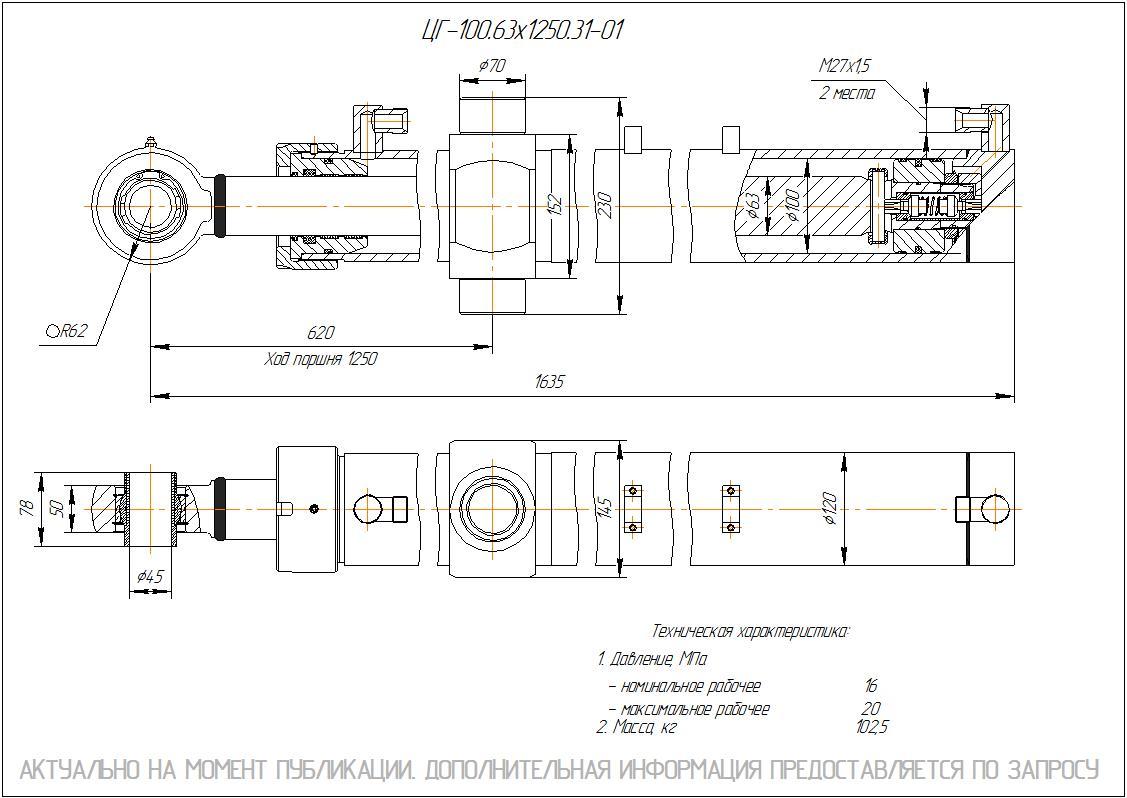 ЦГ-100.63х1250.31-01 Гидроцилиндр