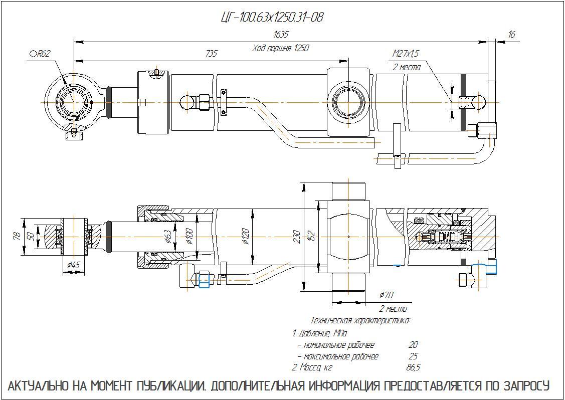 ЦГ-100.63х1250.31-08 Гидроцилиндр