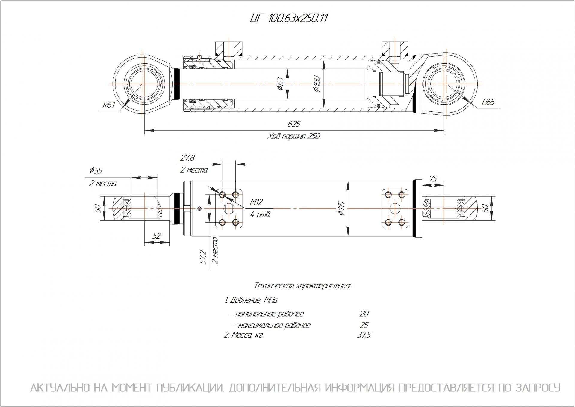 ЦГ-100.63х250.11 Гидроцилиндр