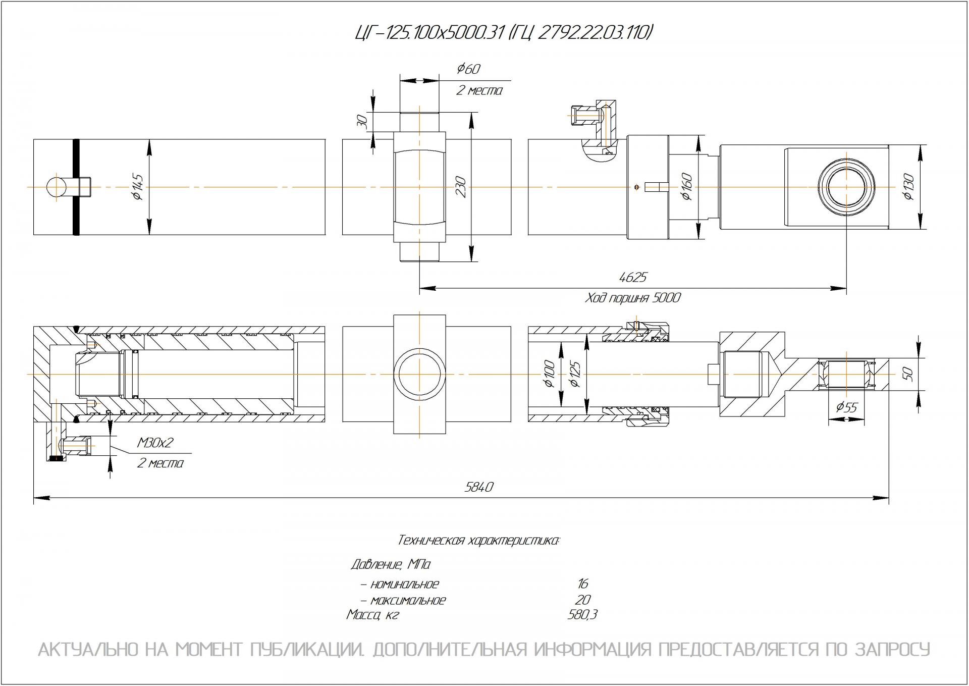 ЦГ-125.100х5000.31 Гидроцилиндр