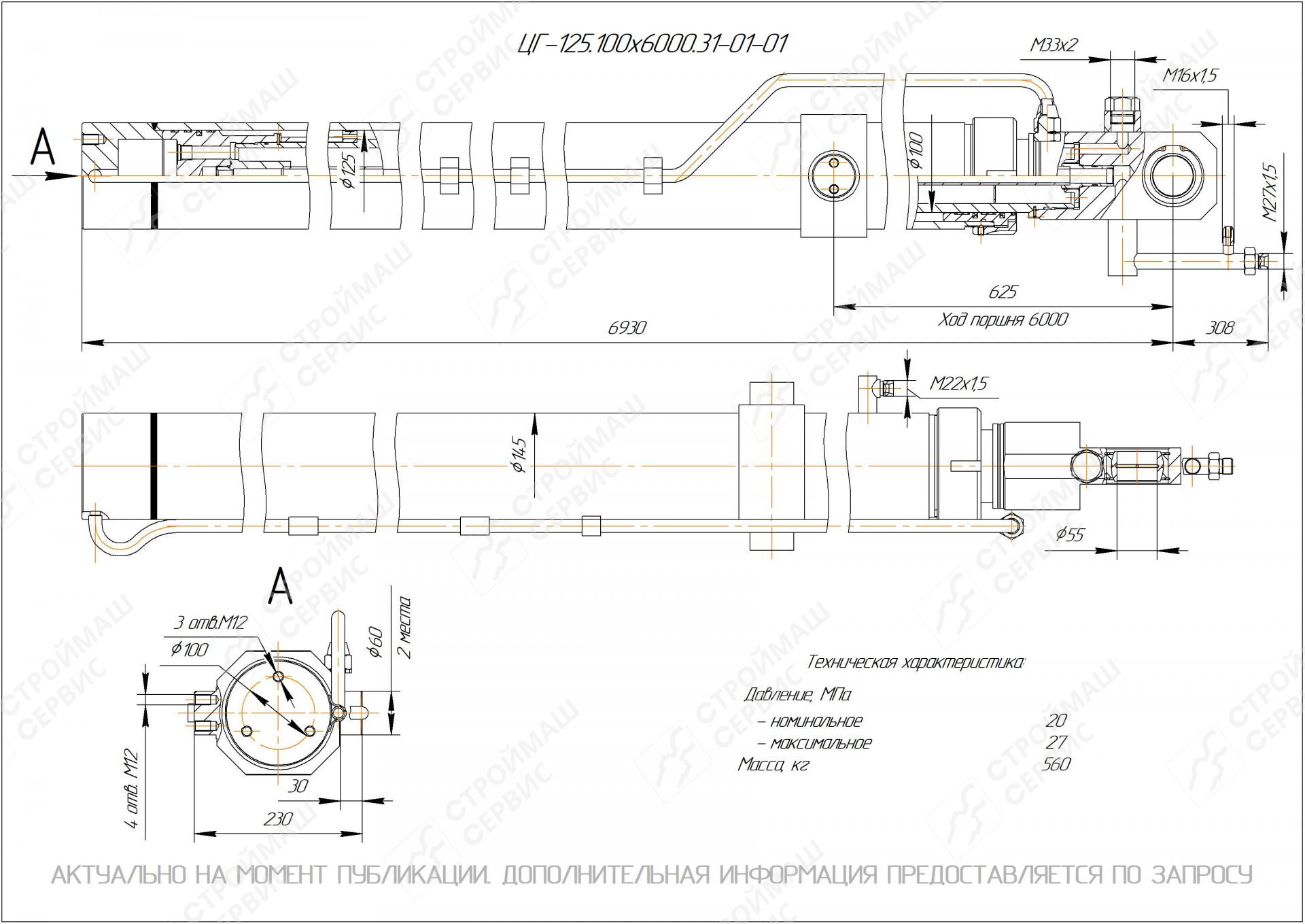 ЦГ-125.100х6000.31-01-01 Гидроцилиндр