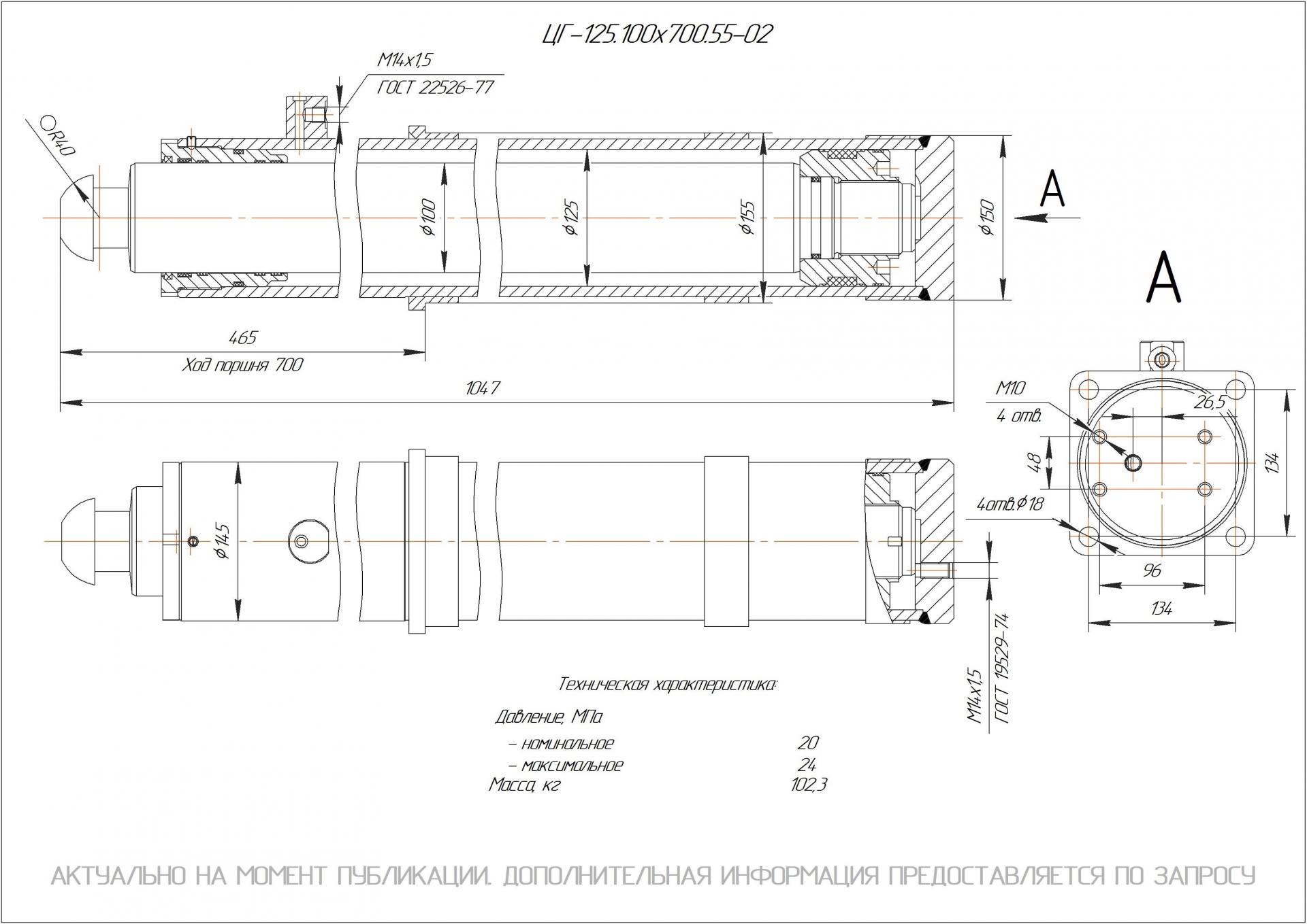 ЦГ-125.100х700.55-02 Гидроцилиндр