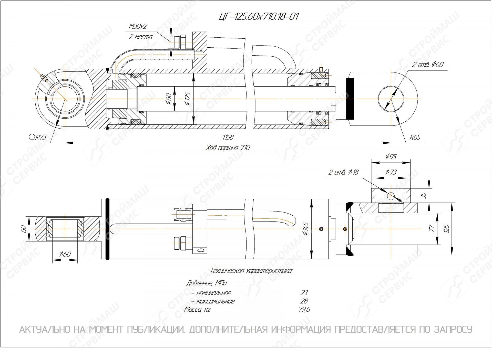 ЦГ-125.60х710.18-01 Гидроцилиндр