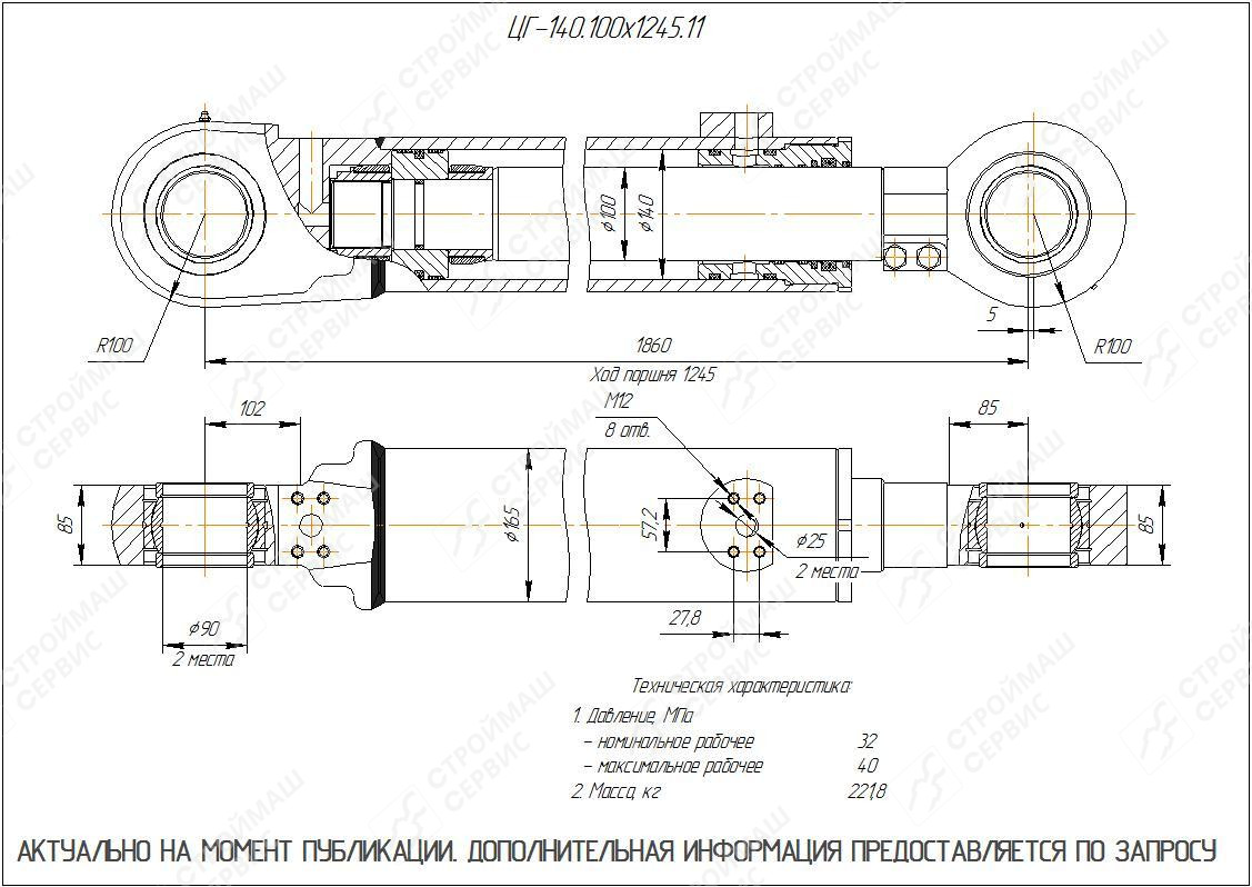 ЦГ-140.100х1245.11 Гидроцилиндр