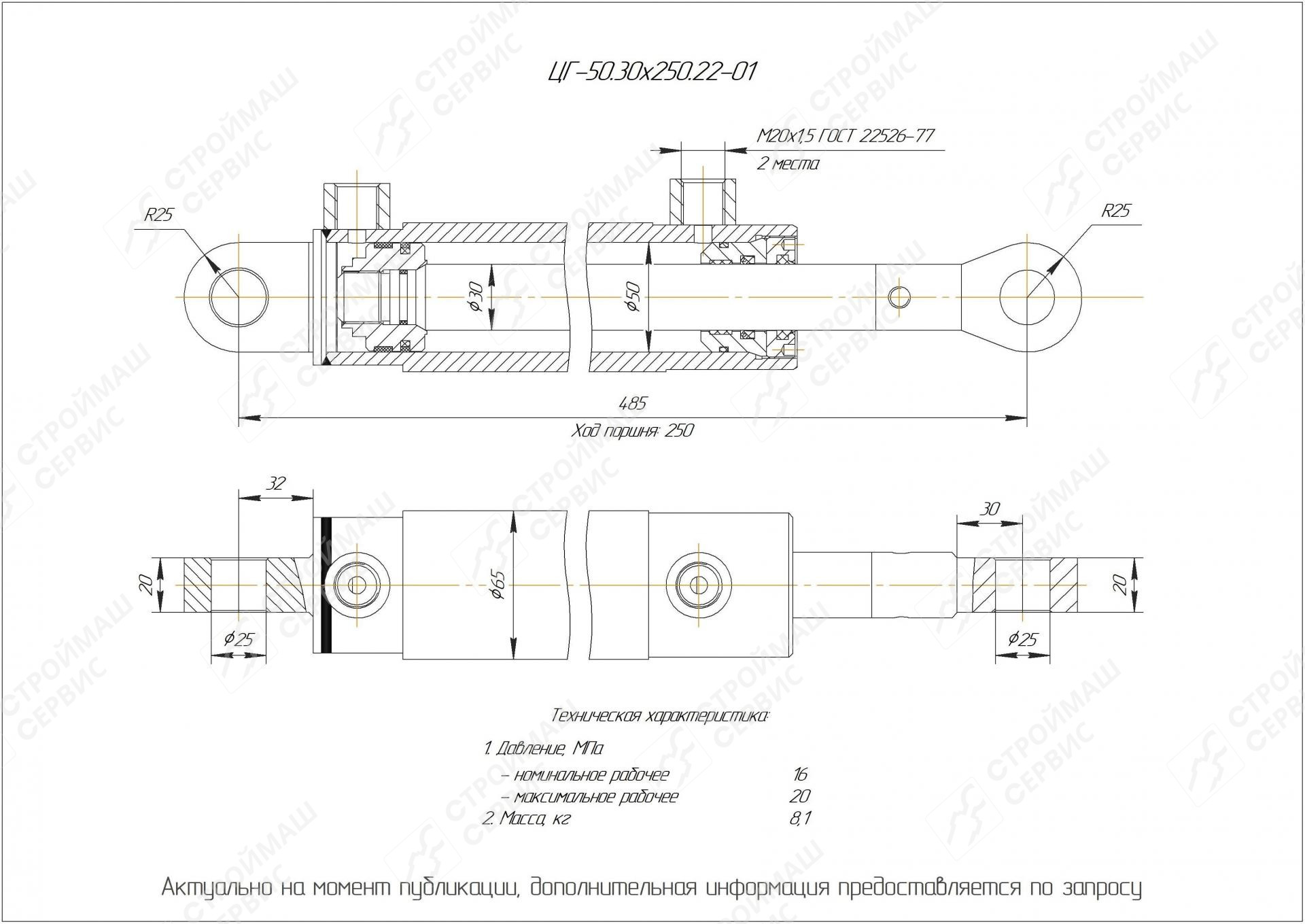 ЦГ-50.30х250.22-01 Гидроцилиндр